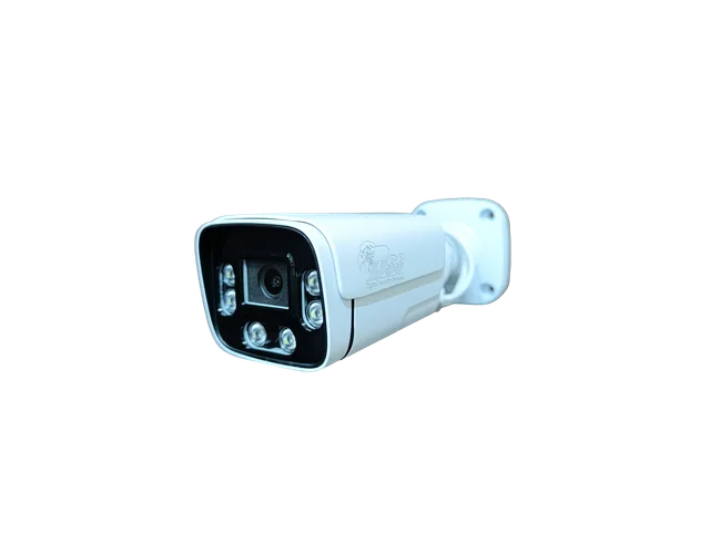 DSS VI-H430